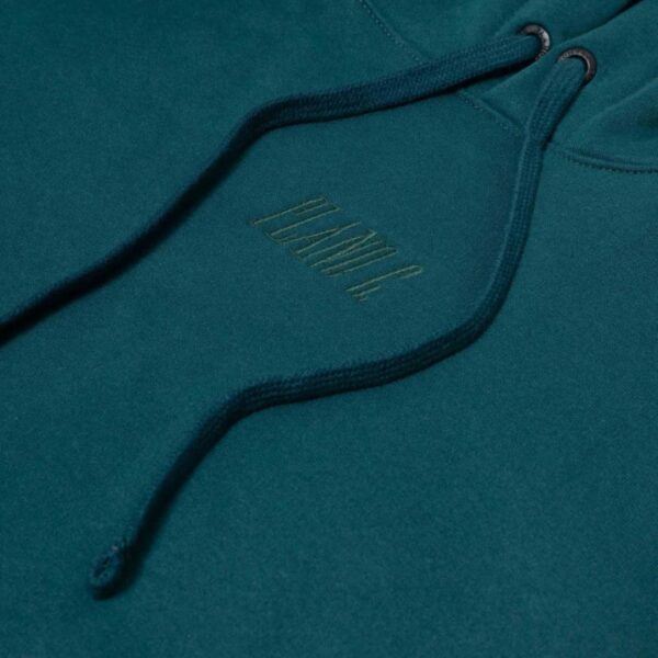BLUSA MOLETOM PLANO C HOODIE "LOGO" DARK SEA - Imagem 4