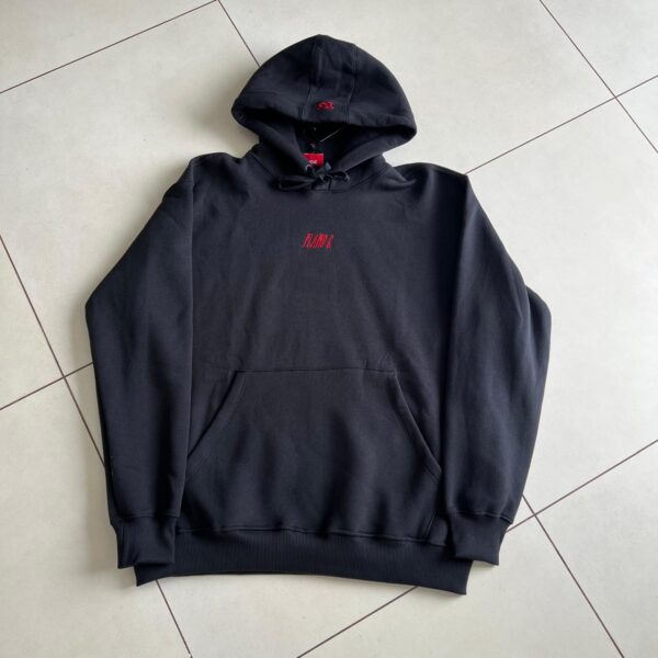MOLETOM PLANO C HOODIE "LOGO" (PRETO) - Imagem 4