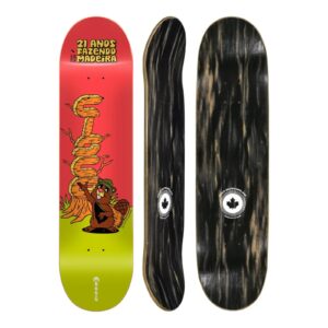 Shape Cisco Hard Maple 21 Anos Sr Castor - 8.25
